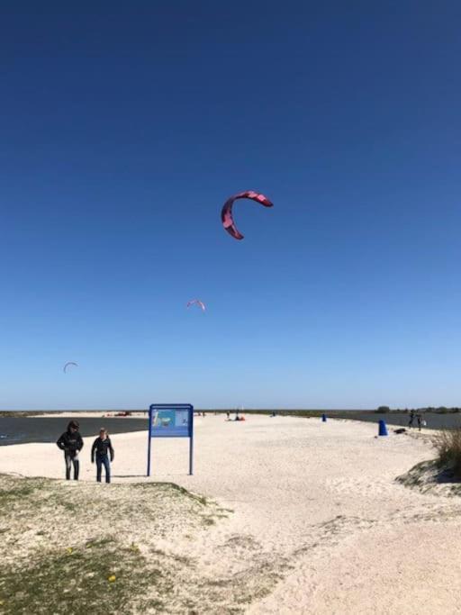 Gezellige Pipo Met Grote Schommel Aan Het Water Villa Medemblik Luaran gambar