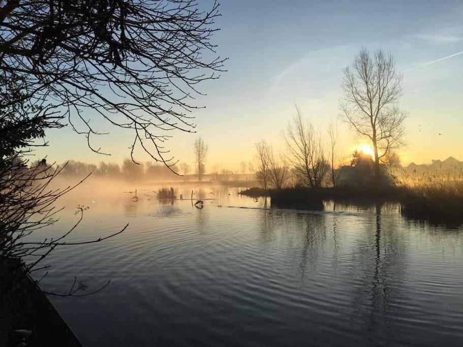 Gezellige Pipo Met Grote Schommel Aan Het Water Villa Medemblik Luaran gambar